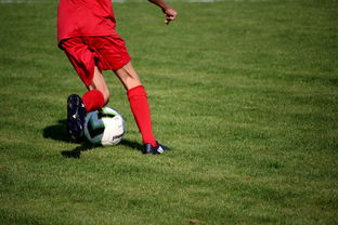 爱游戏app-中国篮球职业联赛俱乐部青训体系建设，全国篮球俱乐部青年联赛